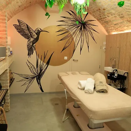 Maison En Ville, Hyper Centre Ville, Bed & Breakfast 4*