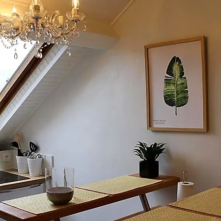 Maison En Hypercentre -